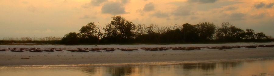 peach - 2006.09.04: caladesi island, dunedin, fl