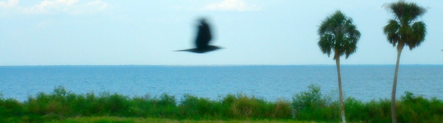 still - 2006.04.23: lake okeechobee, fl